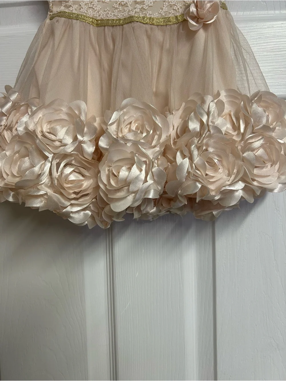 Blueberi Boulevard Champagne Dress With Roses and Coat With Roses Print